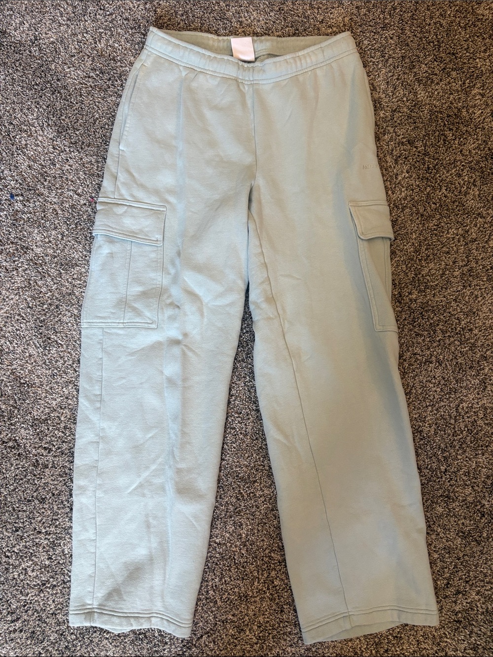 Aritzia cargo sweatpants